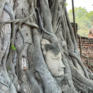 ayutthaya3